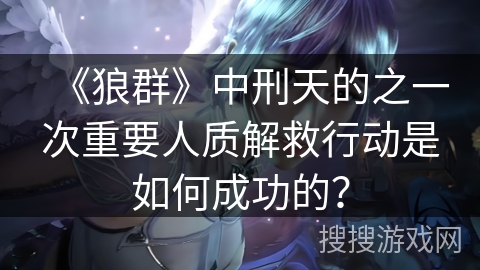 《狼群》中刑天的之一次重要人质解救行动是如何成功的？