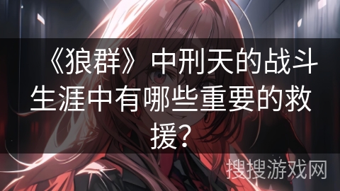 《狼群》中刑天的战斗生涯中有哪些重要的救援？