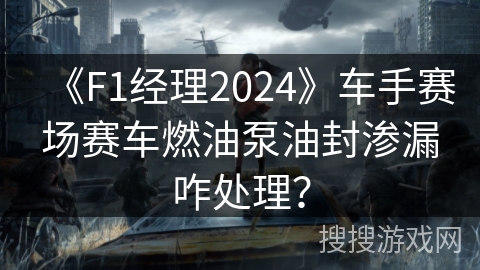 《F1经理2024》车手赛场赛车燃油泵油封渗漏咋处理？