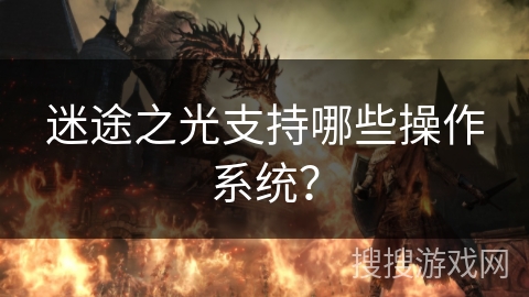 迷途之光支持哪些操作系统？