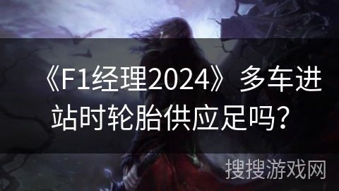 《F1经理2024》多车进站时轮胎供应足吗? 《F1经理2024》多车进站时轮胎供应足吗?
