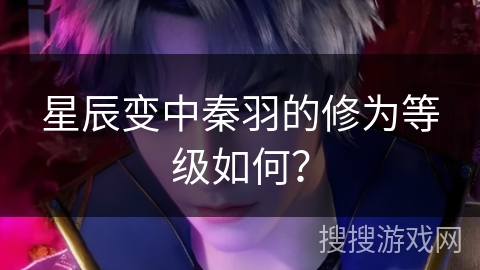 星辰变中秦羽的修为等级如何？