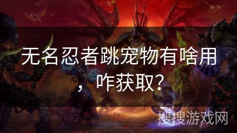 无名忍者跳宠物有啥用，咋获取？