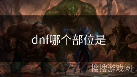 dnf哪个部位是