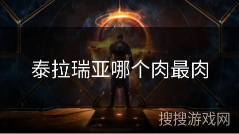 泰拉瑞亚哪个肉最肉