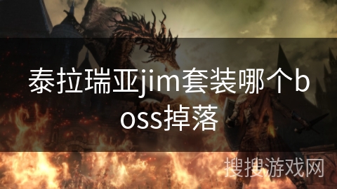泰拉瑞亚jim套装哪个boss掉落