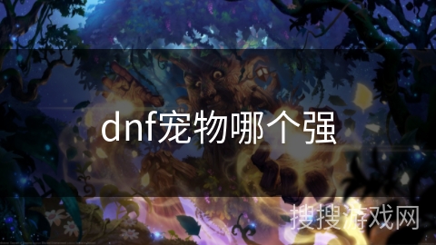 dnf宠物哪个强