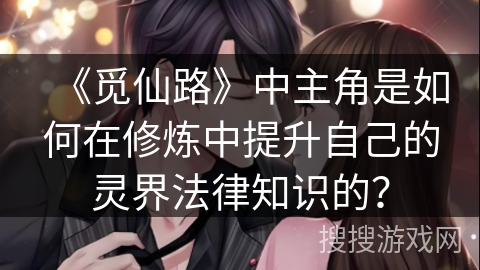 《觅仙路》中主角是如何在修炼中提升自己的灵界法律知识的？