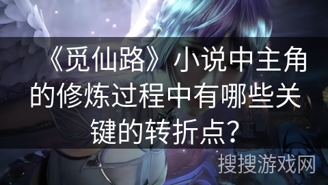 《觅仙路》小说中主角的修炼过程中有哪些关键的转折点?