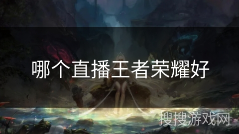 哪个直播王者荣耀好