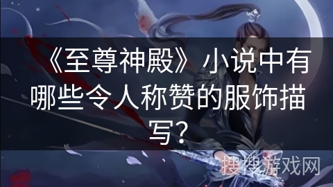 《至尊神殿》小说中有哪些令人称赞的服饰描写？