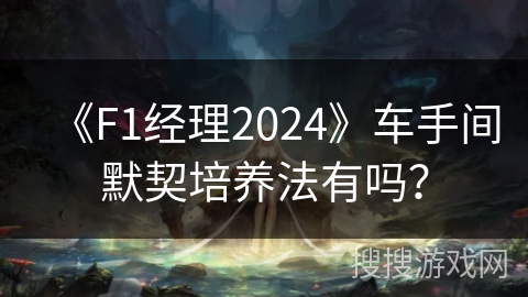 《F1经理2024》车手间默契培养法有吗？