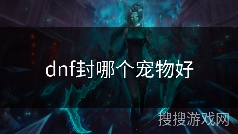 dnf封哪个宠物好 dnf封哪个宠物好