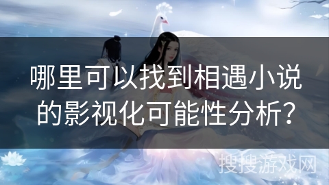 哪里可以找到相遇小说的影视化可能性分析?