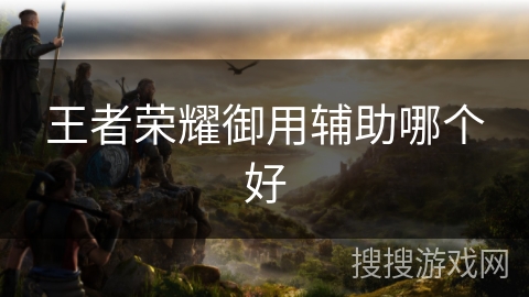 王者荣耀御用辅助哪个好 王者荣耀御用辅助哪个好