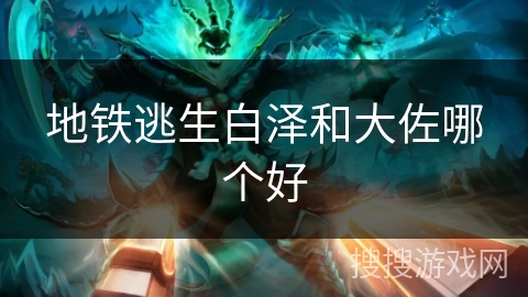 地铁逃生白泽和大佐哪个好