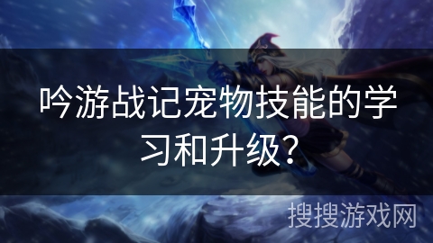 吟游战记宠物技能的学习和升级？