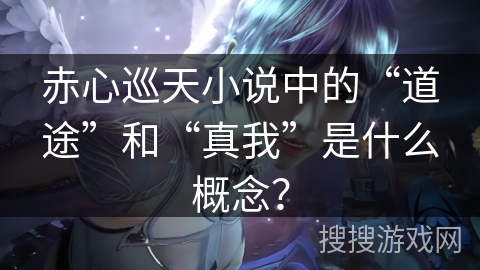 赤心巡天小说中的“道途”和“真我”是什么概念？