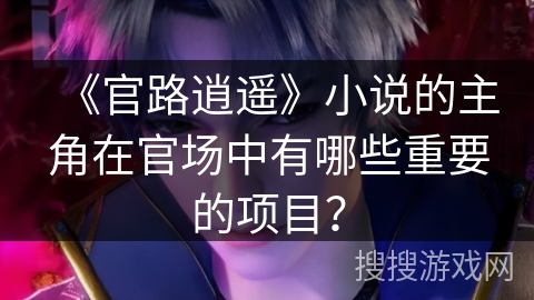 《官路逍遥》小说的主角在官场中有哪些重要的项目？