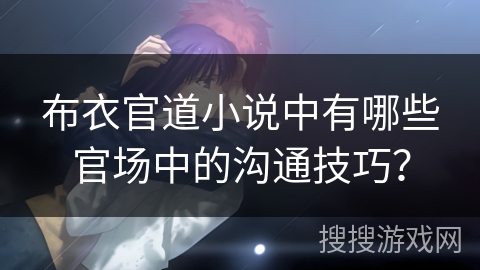 布衣官道小说中有哪些官场中的沟通技巧？