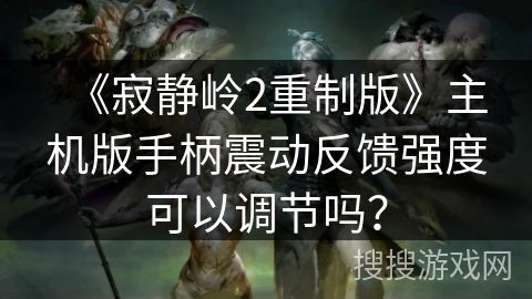 《寂静岭2重制版》主机版手柄震动反馈强度可以调节吗？