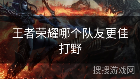 王者荣耀哪个队友更佳打野 王者荣耀哪个队友更佳打野