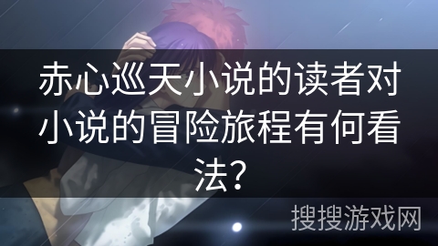 赤心巡天小说的读者对小说的冒险旅程有何看法？