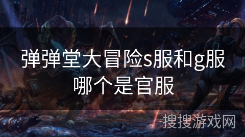 弹弹堂大冒险s服和g服哪个是官服