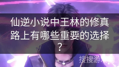 仙逆小说中王林的修真路上有哪些重要的选择？