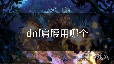 dnf肩腰用哪个