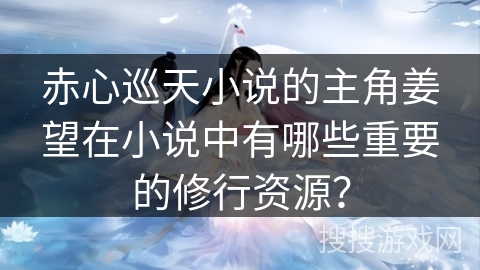 赤心巡天小说的主角姜望在小说中有哪些重要的修行资源？