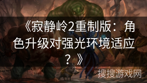 《寂静岭2重制版：角色升级对强光环境适应？》