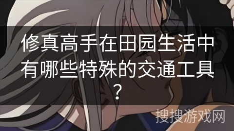 修真高手在田园生活中有哪些特殊的交通工具？