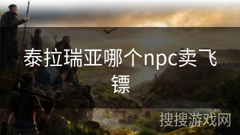 泰拉瑞亚哪个npc卖飞镖