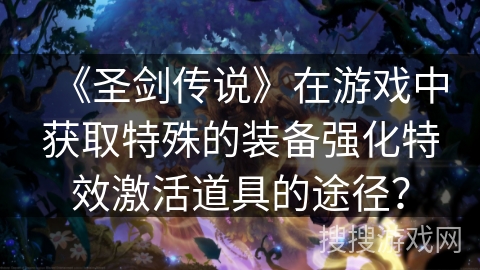 《圣剑传说》在游戏中获取特殊的装备强化特效激活道具的途径？