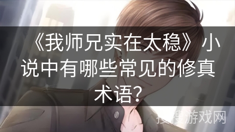 《我师兄实在太稳》小说中有哪些常见的修真术语？