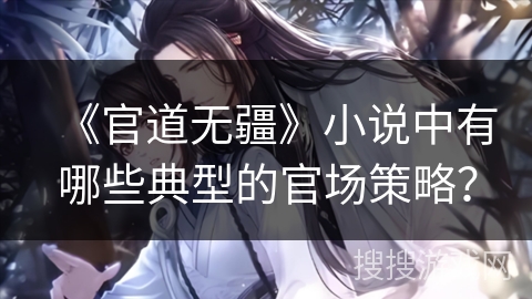 《官道无疆》小说中有哪些典型的官场策略？