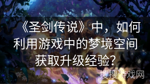 《圣剑传说》中，如何利用游戏中的梦境空间获取升级经验？