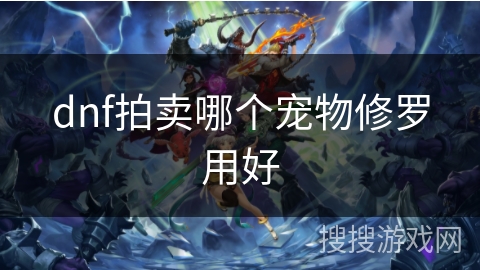 dnf拍卖哪个宠物修罗用好