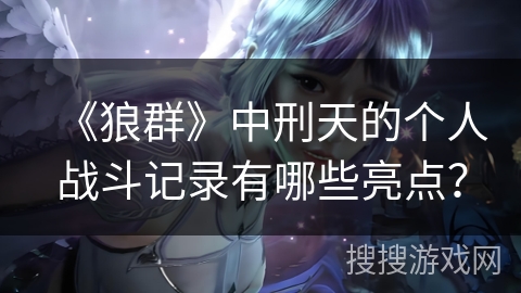 《狼群》中刑天的个人战斗记录有哪些亮点？