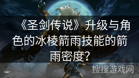 《圣剑传说》升级与角色的冰棱箭雨技能的箭雨密度？