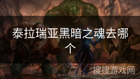 泰拉瑞亚黑暗之魂去哪个