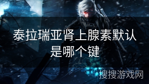 泰拉瑞亚肾上腺素默认是哪个键