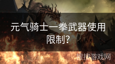 元气骑士一拳武器使用限制？