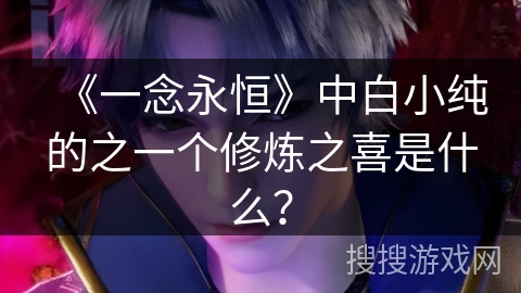 《一念永恒》中白小纯的之一个修炼之喜是什么？