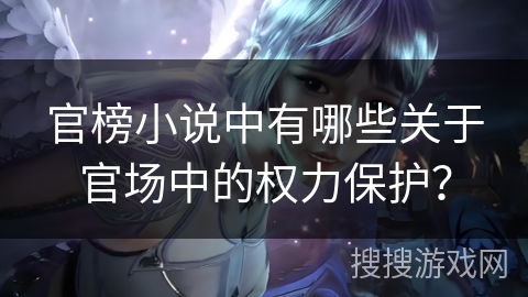 官榜小说中有哪些关于官场中的权力保护？