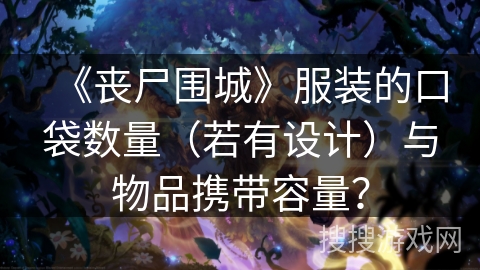 《丧尸围城》服装的口袋数量（若有设计）与物品携带容量？