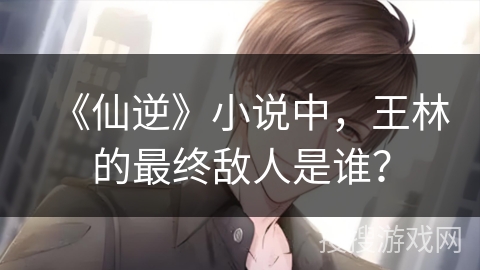 《仙逆》小说中，王林的最终敌人是谁？