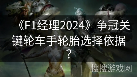 《F1经理2024》争冠关键轮车手轮胎选择依据? 《F1经理2024》争冠关键轮车手轮胎选择依据?