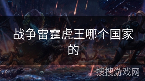 战争雷霆虎王哪个国家的 战争雷霆虎王哪个国家的